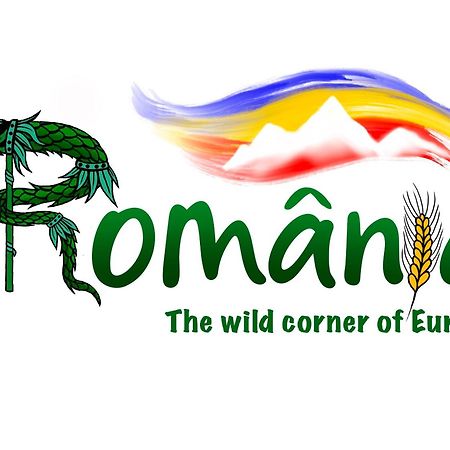 Villa Rihuini Eco Wine House Transylvania Richisu Extérieur photo