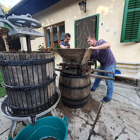 Villa Rihuini Eco Wine House Transylvania Richisu Extérieur photo