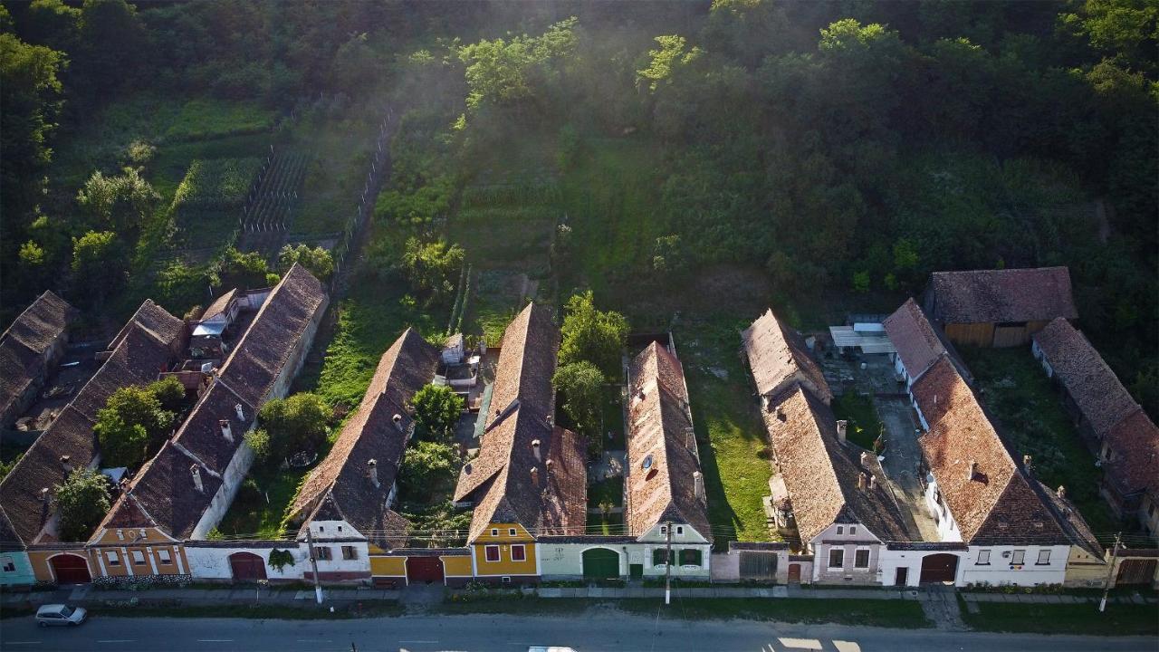 Villa Rihuini Eco Wine House Transylvania Richisu Extérieur photo