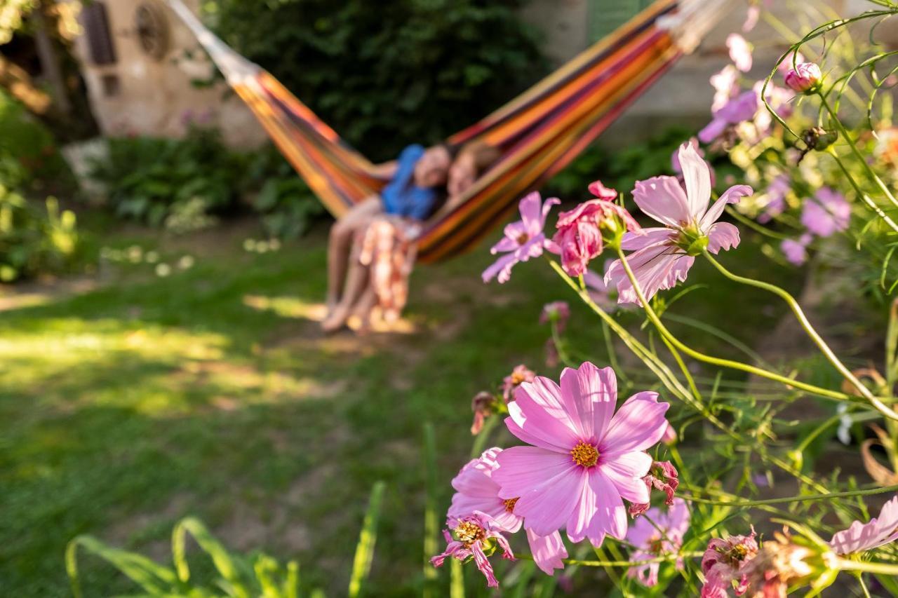 Villa Rihuini Eco Wine House Transylvania Richisu Extérieur photo