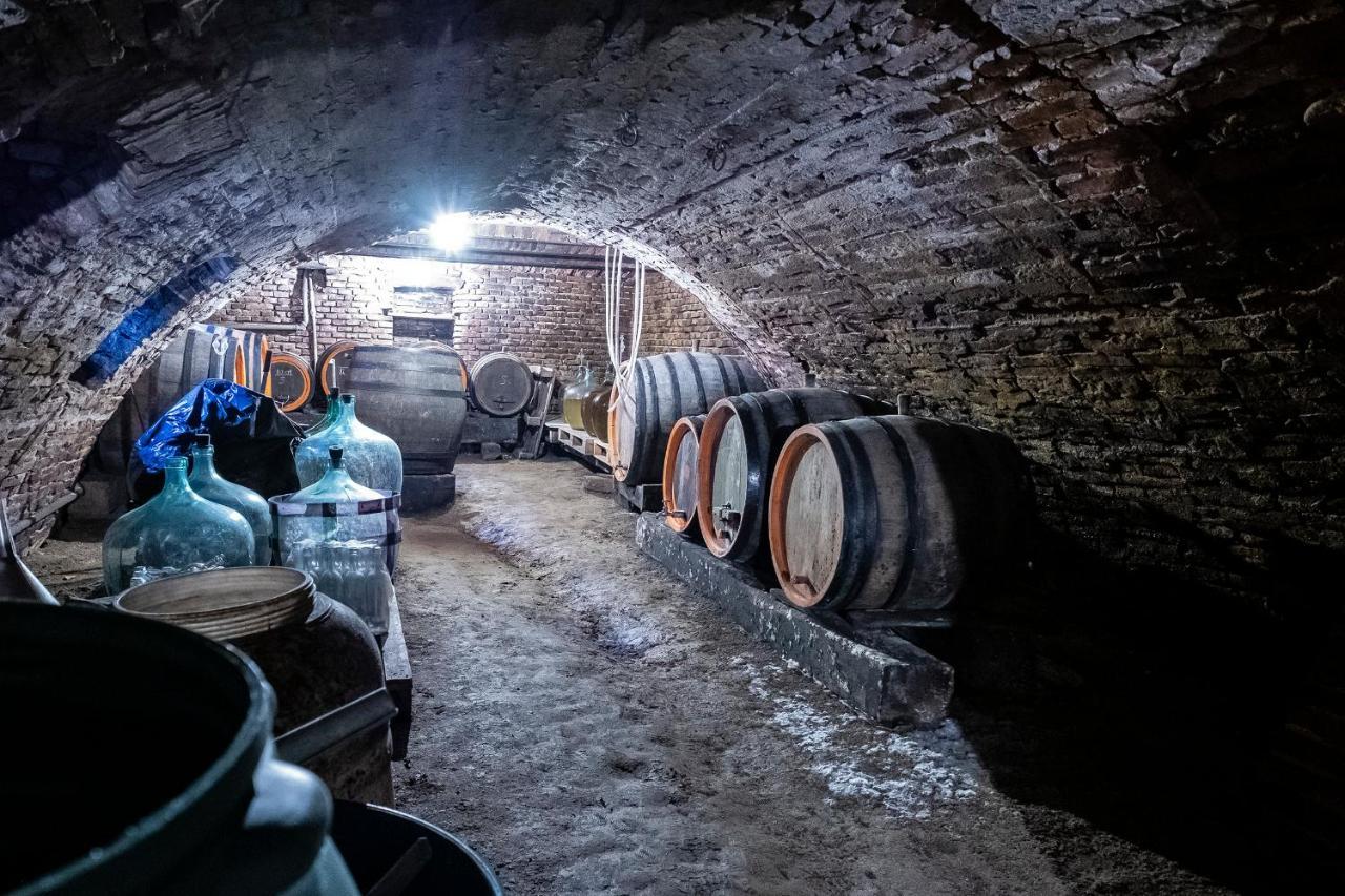 Villa Rihuini Eco Wine House Transylvania Richisu Extérieur photo