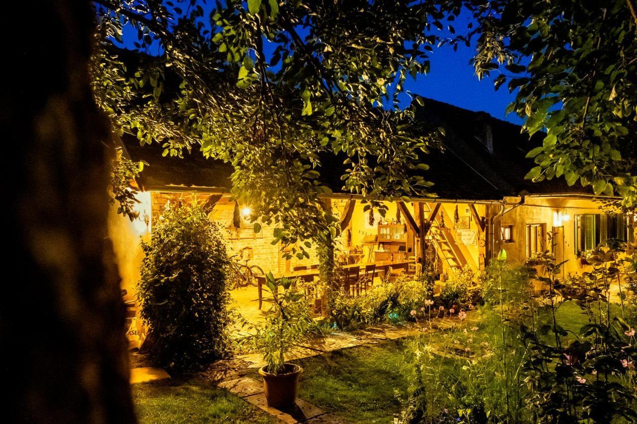 Villa Rihuini Eco Wine House Transylvania Richisu Extérieur photo