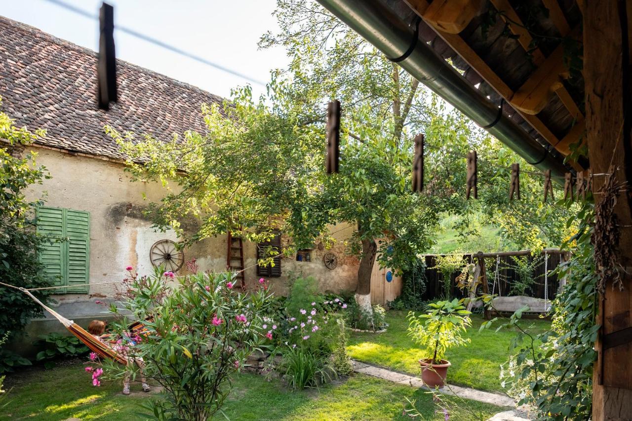 Villa Rihuini Eco Wine House Transylvania Richisu Extérieur photo