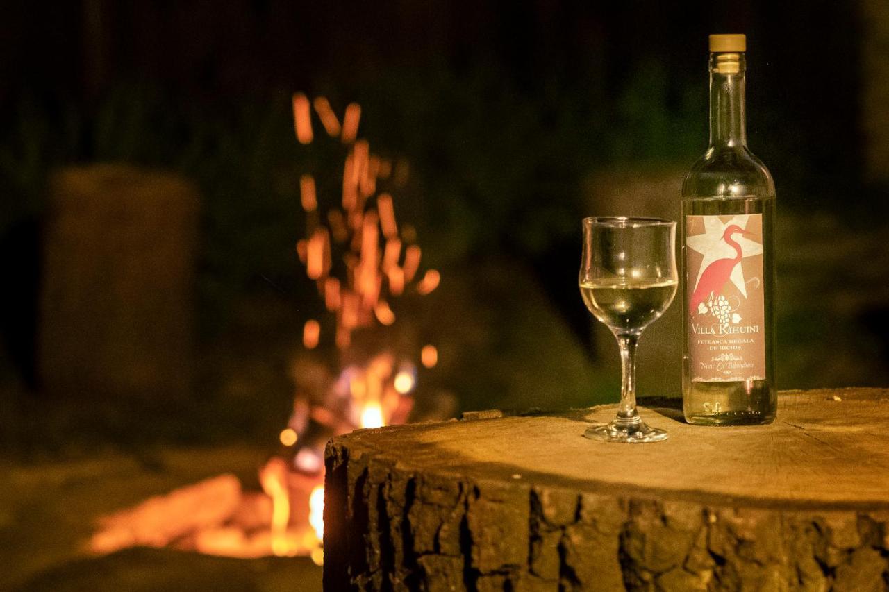 Villa Rihuini Eco Wine House Transylvania Richisu Extérieur photo
