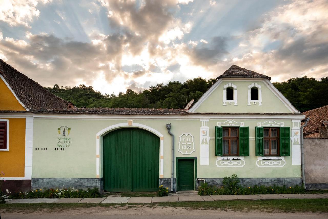 Villa Rihuini Eco Wine House Transylvania Richisu Extérieur photo