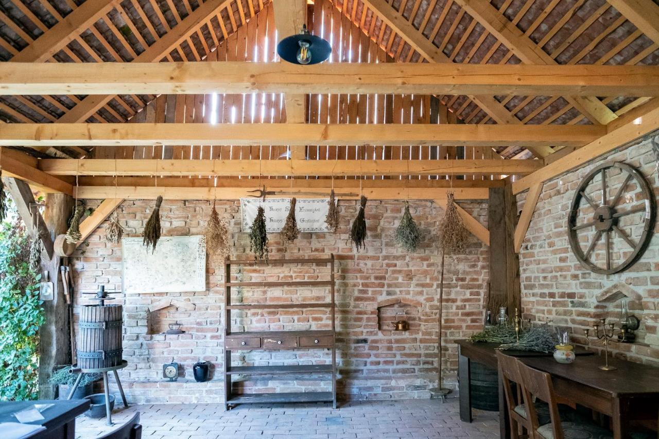 Villa Rihuini Eco Wine House Transylvania Richisu Extérieur photo