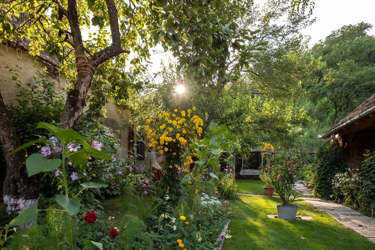 Villa Rihuini Eco Wine House Transylvania Richisu Extérieur photo