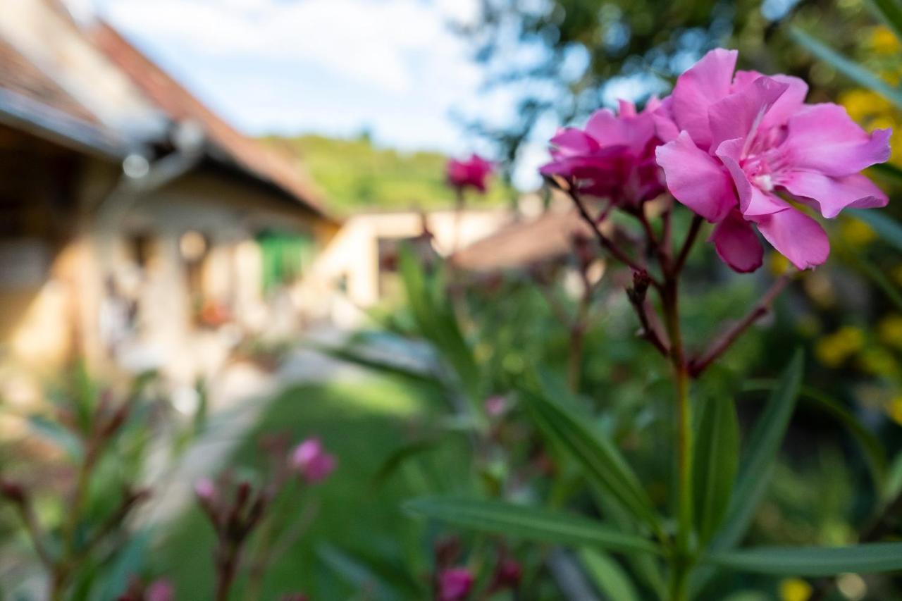 Villa Rihuini Eco Wine House Transylvania Richisu Extérieur photo