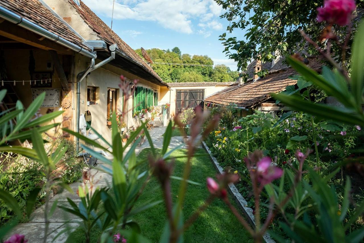 Villa Rihuini Eco Wine House Transylvania Richisu Extérieur photo