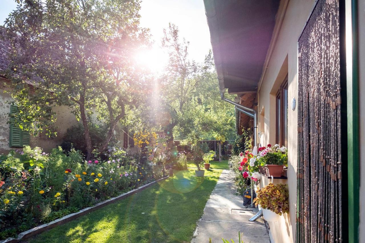 Villa Rihuini Eco Wine House Transylvania Richisu Extérieur photo