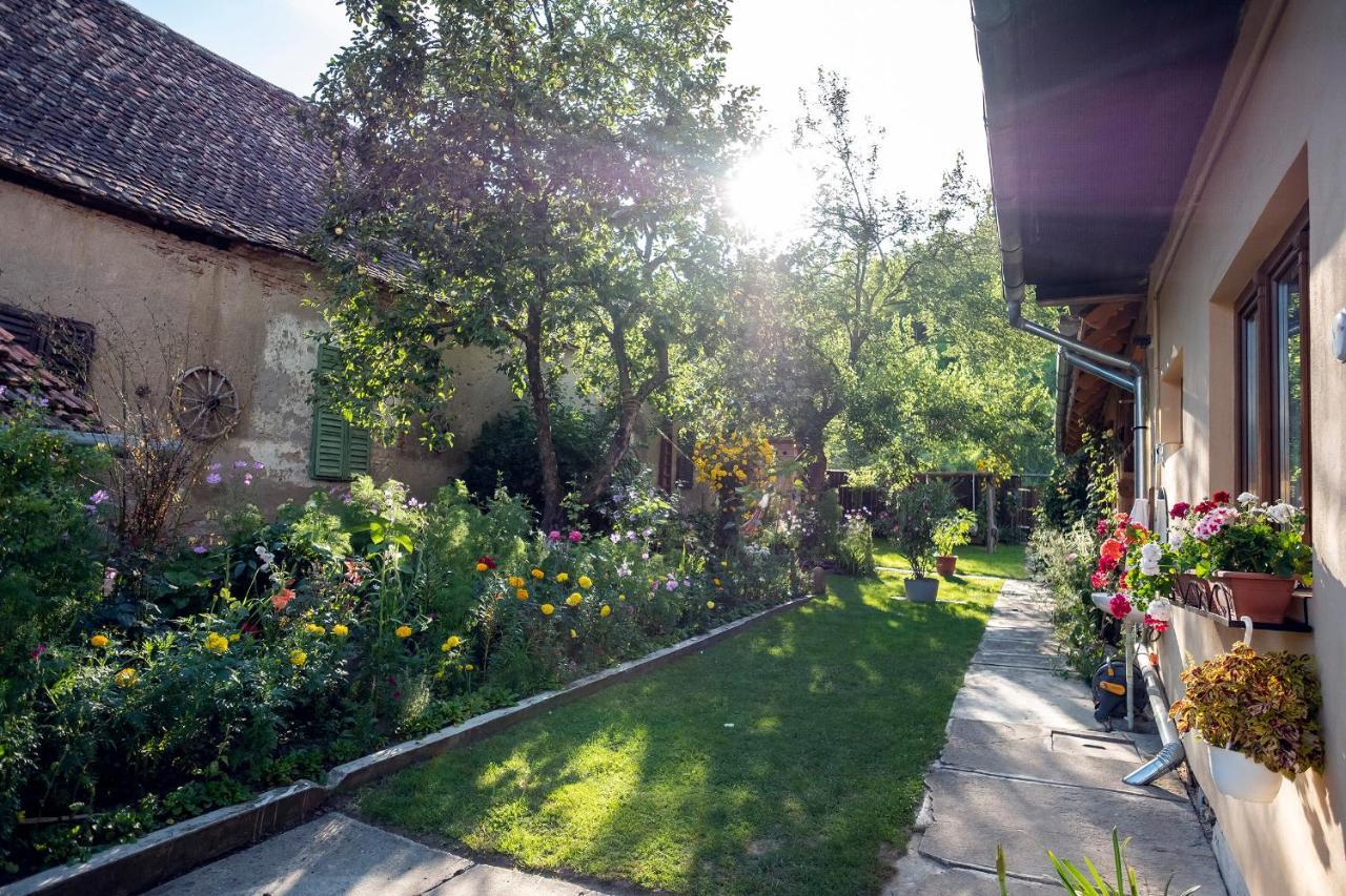 Villa Rihuini Eco Wine House Transylvania Richisu Extérieur photo