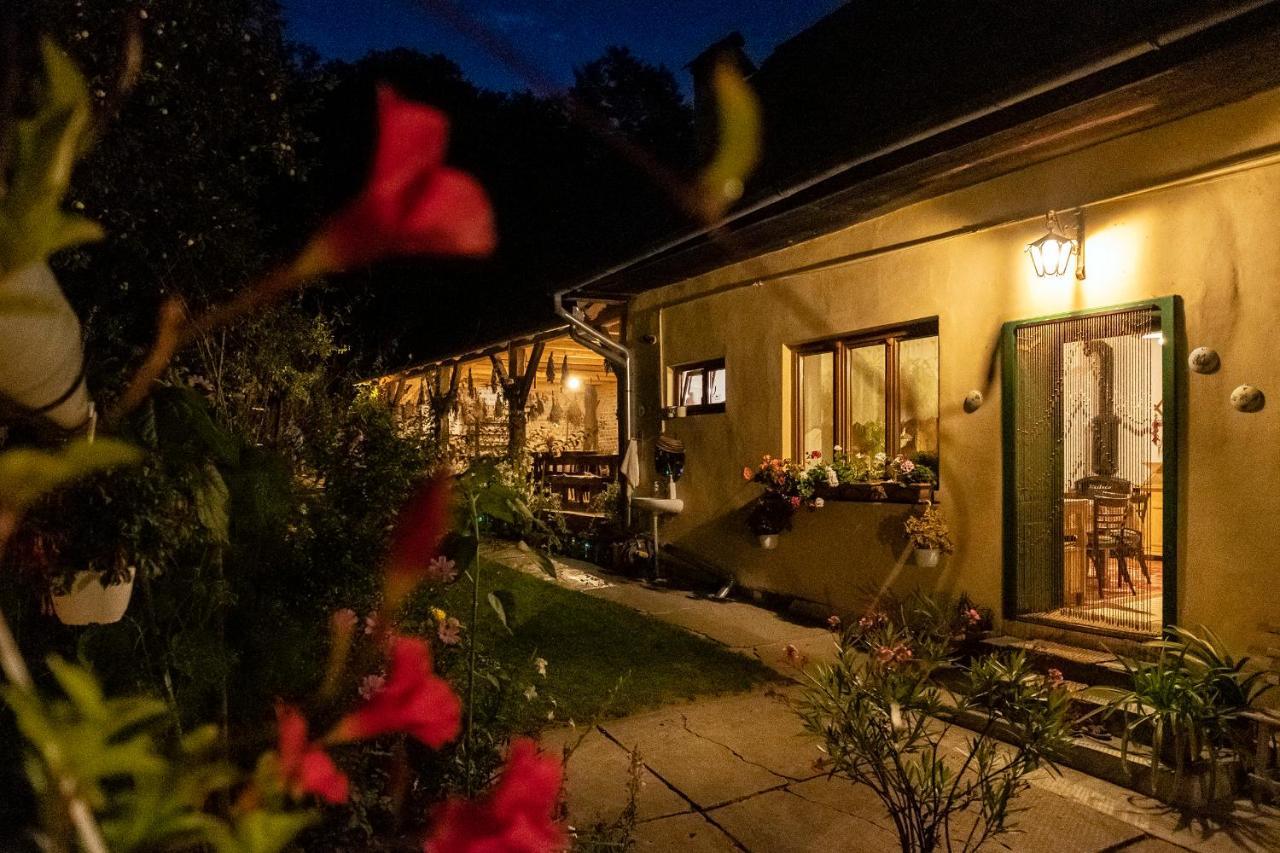 Villa Rihuini Eco Wine House Transylvania Richisu Extérieur photo