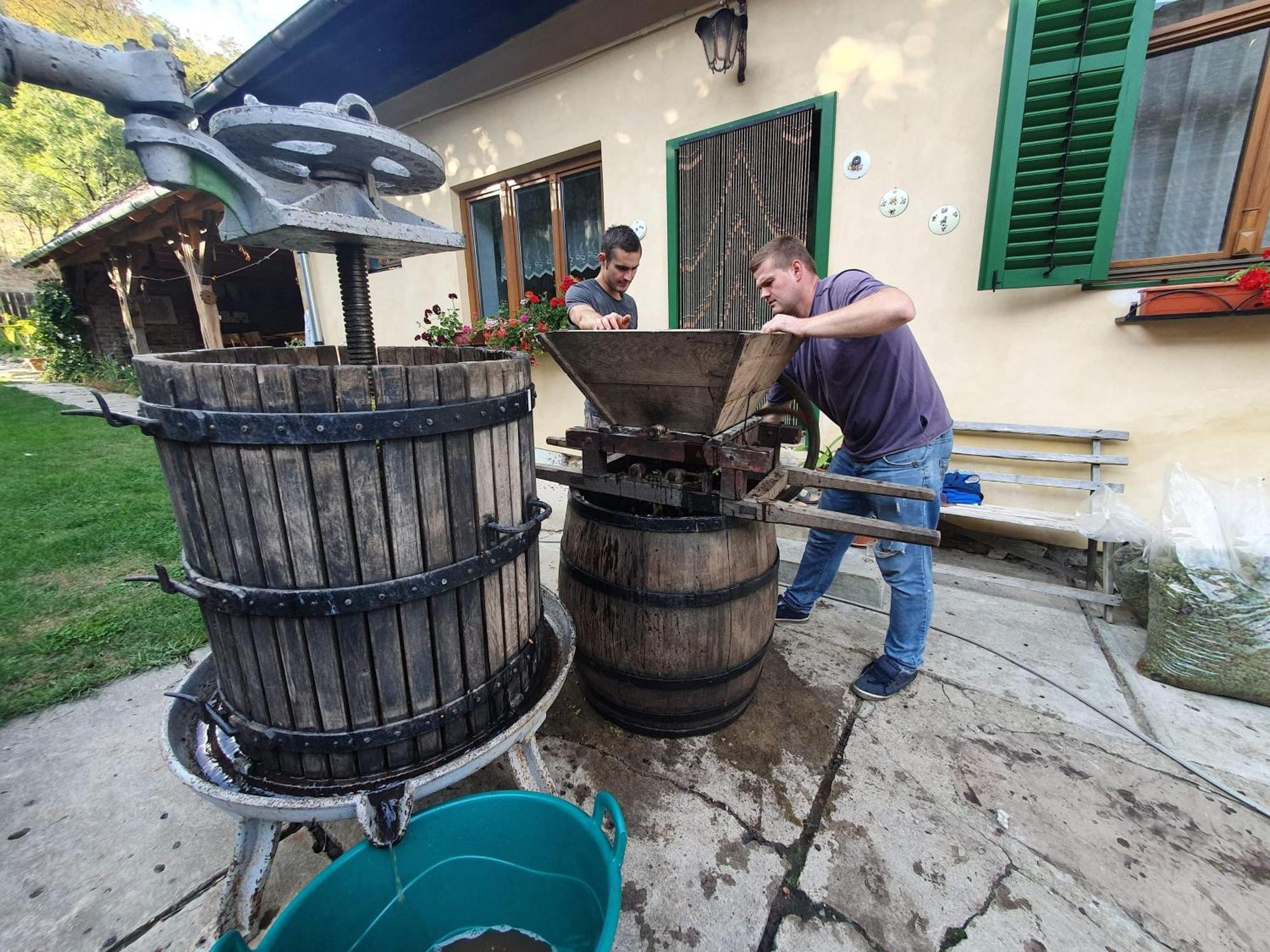 Villa Rihuini Eco Wine House Transylvania Richisu Extérieur photo